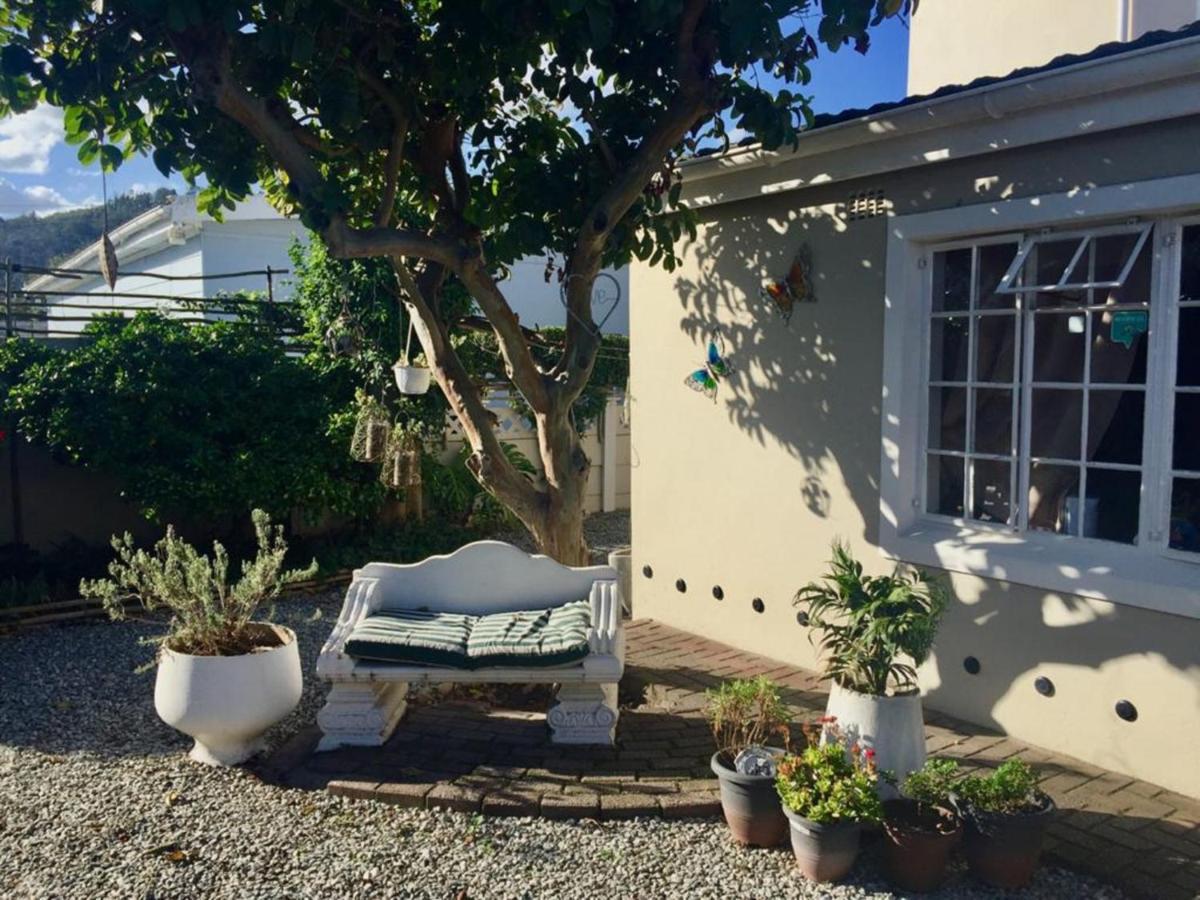 Jembjo'S Knysna Lodge & Backpackers Buitenkant foto