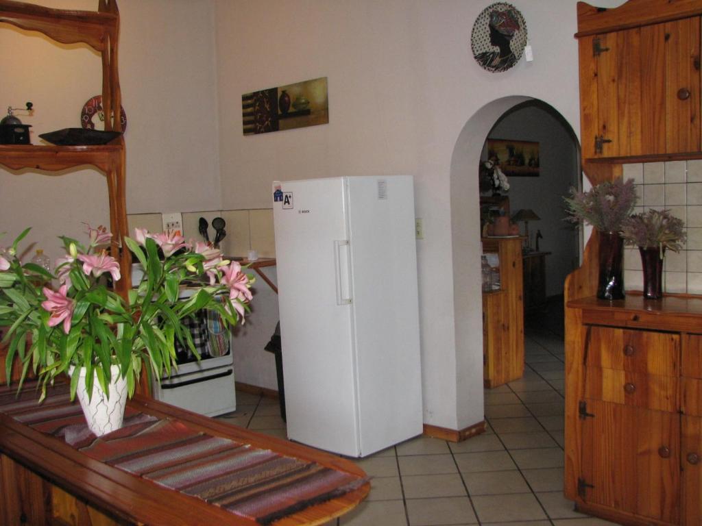 Jembjo'S Knysna Lodge & Backpackers Buitenkant foto